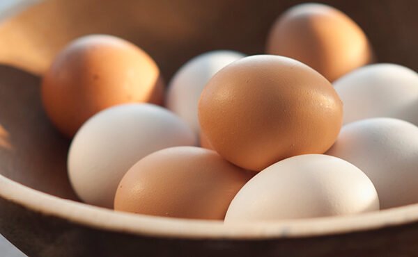 Benefits of Eating an Egg Every Day