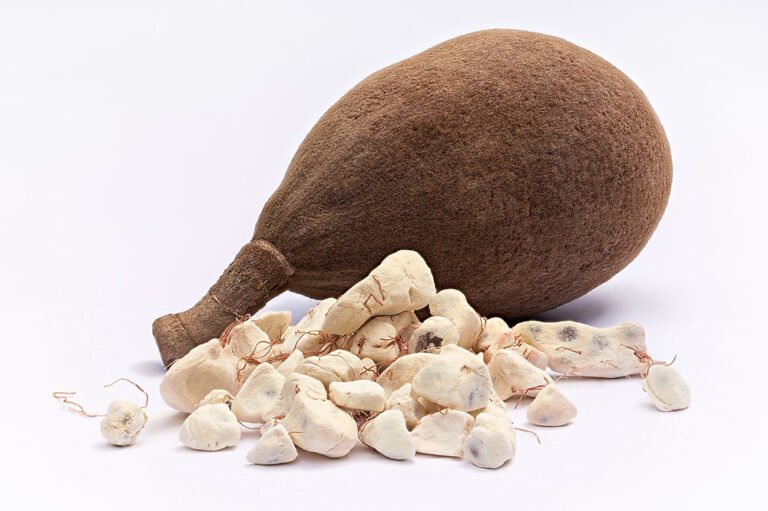 The Health Benefits of Baobab Drinks