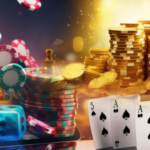 VIP casino programmes
